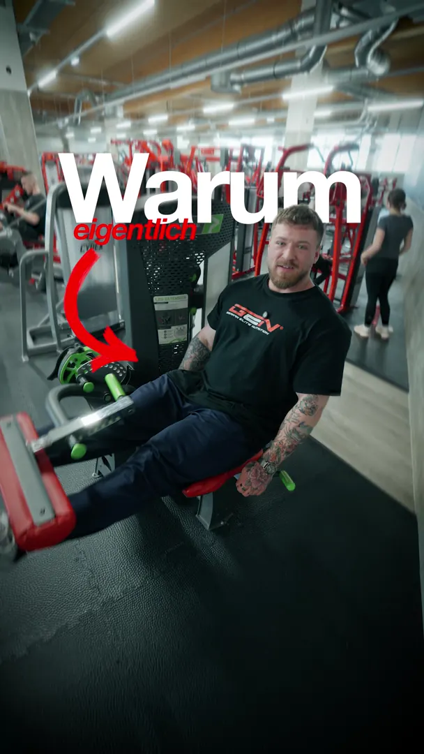 Vorschaubild für sinnvoll final